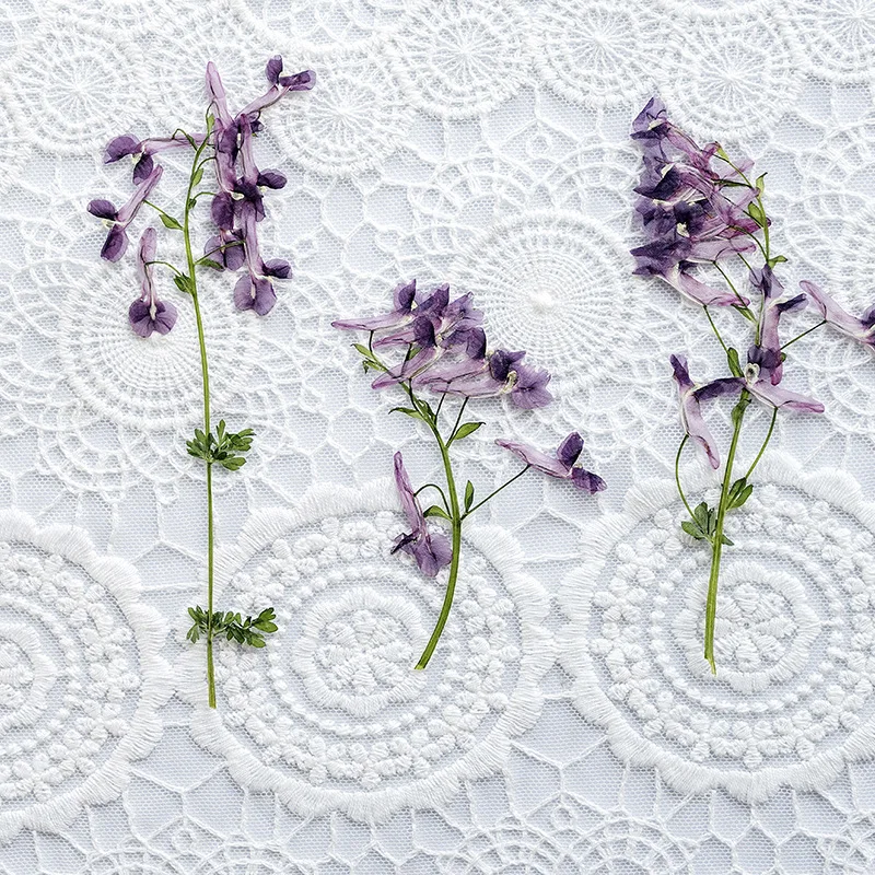 Préselt, Szárított Corydalis decumbens Virág, Száraz Növények, Nyaklánc Készítése Kézműves DIY Tartozékok Mesterséges Virág Dekoráció 24Pcs Kép 0