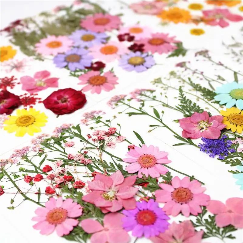 1 darab Színes Igazi Szárított Virág, Száraz Növények Gyertya Epoxi Gyanta Medál Nyaklánc Ékszer Készítés Kézműves DIY Tartozékok Kép 0