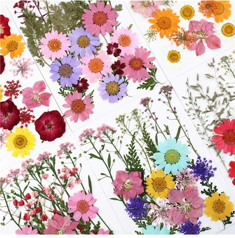 1 darab Színes Igazi Szárított Virág, Száraz Növények Gyertya Epoxi Gyanta Medál Nyaklánc Ékszer Készítés Kézműves DIY Tartozékok Kép 1