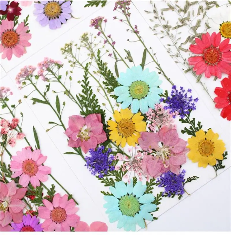 1 darab Színes Igazi Szárított Virág, Száraz Növények Gyertya Epoxi Gyanta Medál Nyaklánc Ékszer Készítés Kézműves DIY Tartozékok Kép 3