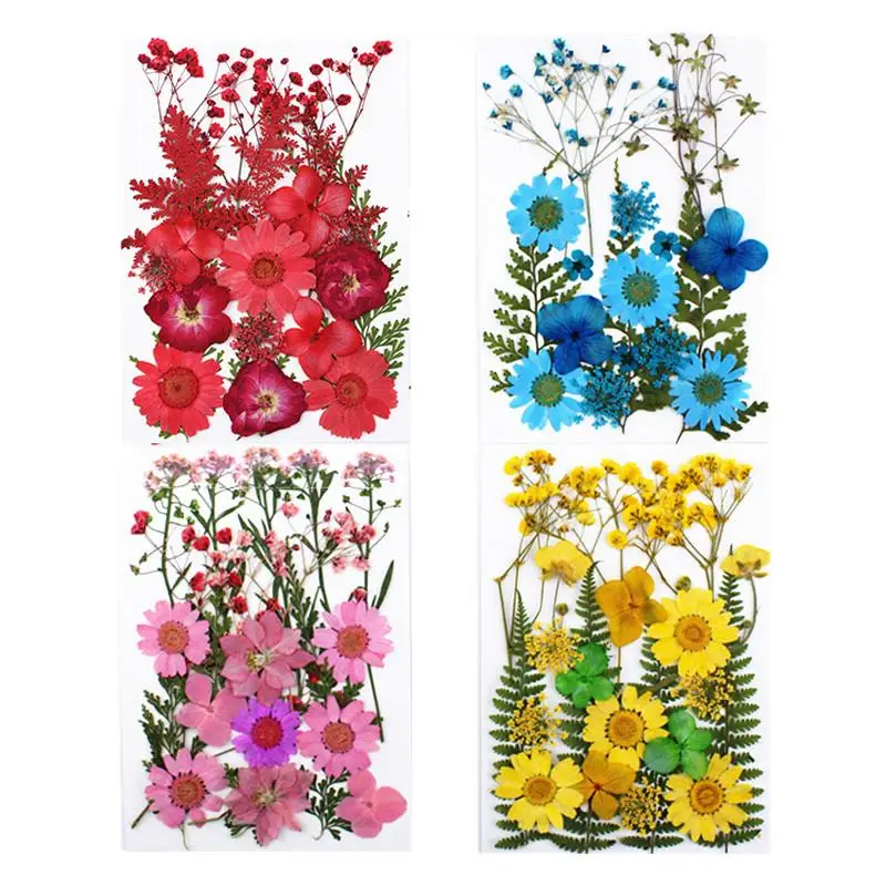 1 darab Színes Igazi Szárított Virág, Száraz Növények Gyertya Epoxi Gyanta Medál Nyaklánc Ékszer Készítés Kézműves DIY Tartozékok Kép 4