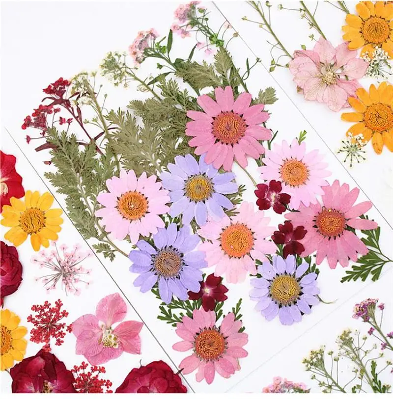 1 darab Színes Igazi Szárított Virág, Száraz Növények Gyertya Epoxi Gyanta Medál Nyaklánc Ékszer Készítés Kézműves DIY Tartozékok Kép 5